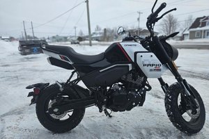 2024 CFMOTO PAPIO
