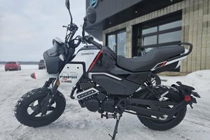 2024 CFMOTO PAPIO