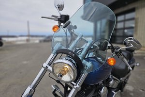 2005 Harley-Davidson DEUCE 1450 F.I
