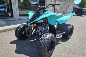 2025 Yamaha RAPTOR 110