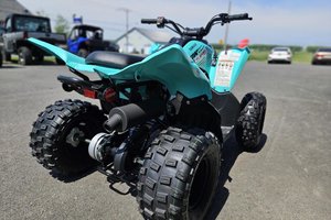 2025 Yamaha RAPTOR 110
