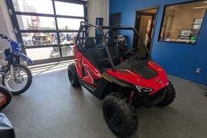 Polaris RZR 200 EFI  2025