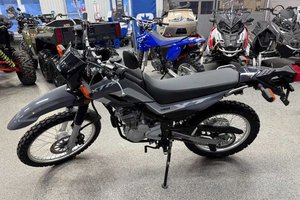 2025 Yamaha XT 250