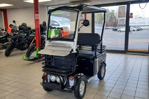 Daymak BOOMERBUGGY CARGO CARGO 9999