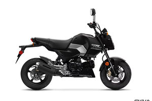 2025 Honda Grom