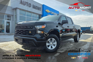 Chevrolet Silverado 1500 WT 4X4 2024