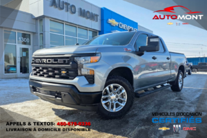 Chevrolet Silverado 1500 WT 4X4 2024