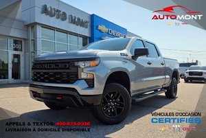 2024 Chevrolet Silverado 1500 Custom TrailBoss 4X4