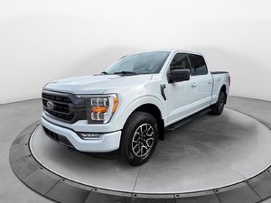 Ford F-150  2023
