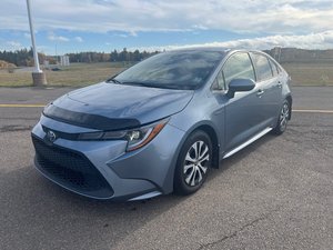 2020 Toyota Corolla LE Hybrid