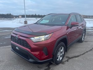 2023 Toyota RAV4 Hybrid XLE