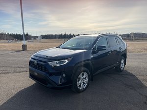2019 Toyota RAV4 Hybrid XLE