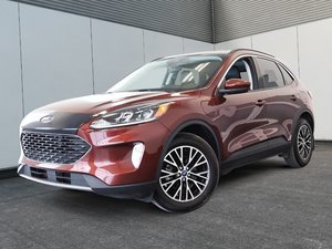 Ford Escape SEL Plug-In Hybrid Toit-Panoramique 2021