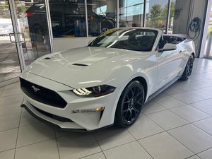 2019 Ford Mustang Mustang convertible Premium manuel