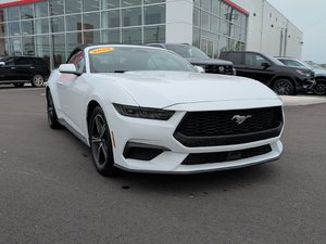 2025 Ford MUSTANG ECOBOOST