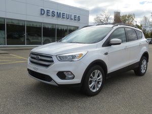 Ford Escape SE AWD 2.0 L 201A 2017