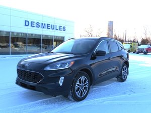 Ford Escape AWD SEL 2021