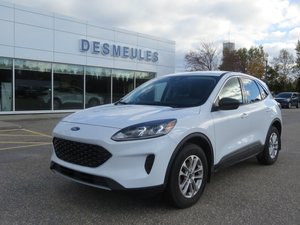 Ford Escape AWD SE 2022