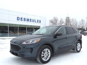 Ford Escape SE AWD 2022