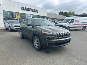 Jeep Cherokee North 2018