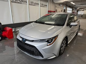 Toyota Corolla Hybrid 2022