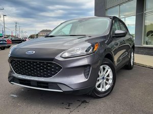 Ford Escape SE Hybrid 2021