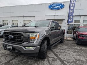 Ford F-150 XLT  SPORT 302A 2022