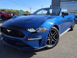 Ford Mustang PREMIUM 201A  Écoboost 2.3 L 2023