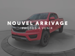 2019 Chevrolet Colorado 4WD Work Truck