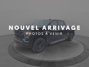 Chevrolet Silverado 1500 Custom Trail Boss 2024