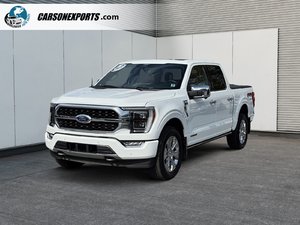 2022 Ford F-150 Platinum
