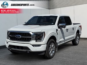 2022 Ford F-150 Platinum