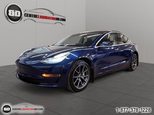 Tesla Model 3 SR + 2020