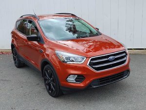 2019 Ford Escape SE | Cam | USB | Heated Seats