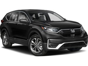 2020 Honda CR-V EX-L | Sunroof | Leather | Cam