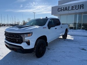 Chevrolet Silverado 1500 Custom Trail Boss V8 5.3 2024