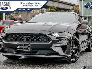 2022 Ford Mustang EcoBoost