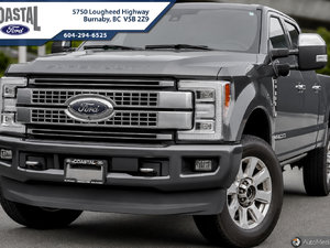 2019 Ford SUPER DUTY F-350 SRW PLATINUM