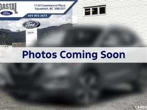 2017 Nissan QASHQAI SL