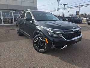 Kia Seltos SX | Leather | Nav | Roof | Cam | Warranty to 2029 2024