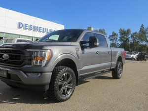 Ford F-150 Super Crew XLT 157'' WB 2023
