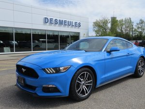 Ford MUSTANG 2.3L EcoBoost 2017
