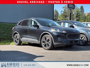 Ford Escape SE 2022