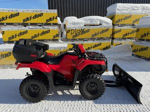 Honda RUBICON 500 + Chenille Tatou Camso  2017