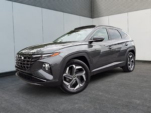 Hyundai Tucson Plug-In Hybrid Ultimate 2022