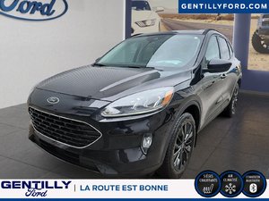 Ford Escape SEL 2021