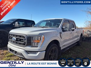 Ford F-150  2023
