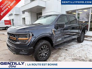 Ford F-150 Tremor 2024