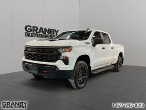 2024 Chevrolet Silverado 1500 Custom Trail Boss Boite 6,6 V8