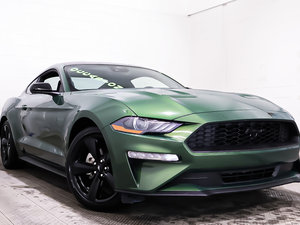 Ford Mustang ECOBOOST + MANUELLE + RWD 2023